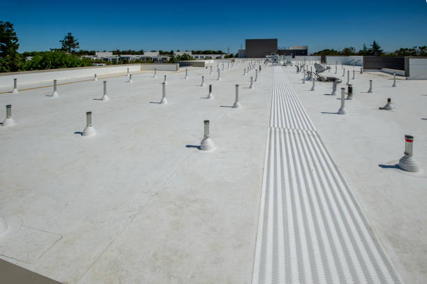 Best Roof Coating and Sealing  in USA